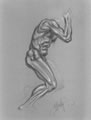 Michael Hensley Drawings, Male Form 7